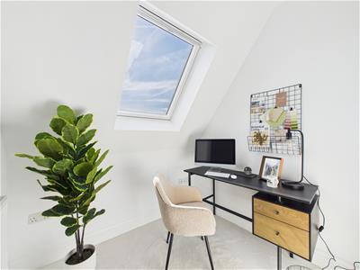 Picture 16